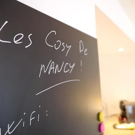 Les Cosy de Nancy - Le repère du roi stanislas 4étoiles Extérieur photo